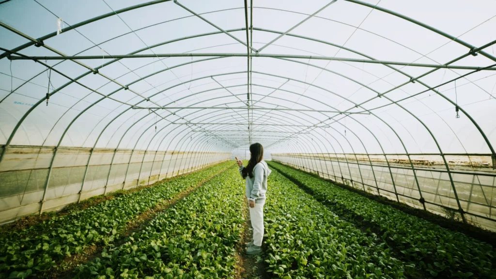 How Does Ỏganic Farming Contribute To Environmental Sustainability?