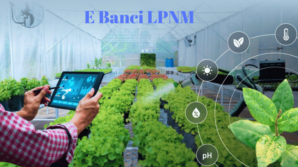 What data can be submitted through e Banci LPNM?