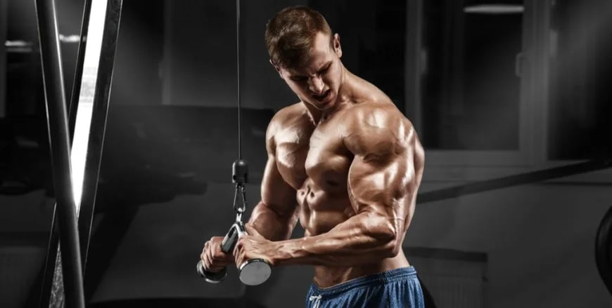 Build Insane Triceps By Doing Skull Crushers - Laz Safety Tips and Best Practices